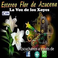 10871_Estereo Flor de Azucena HD.jpeg